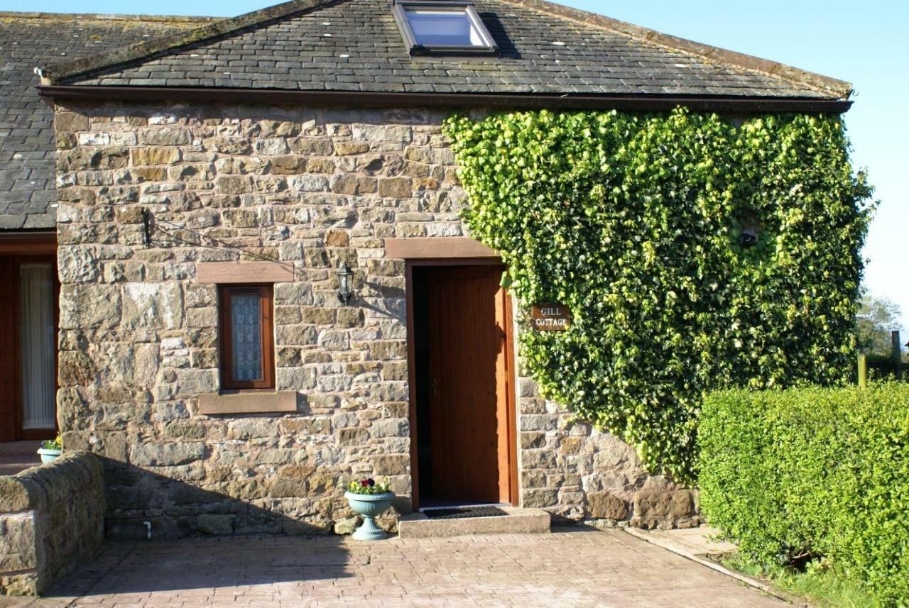 Gill Cottage Castle Carrock Eksteriør billede